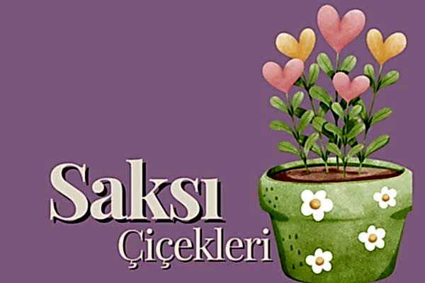 Sevgiliye Özel Ürünler