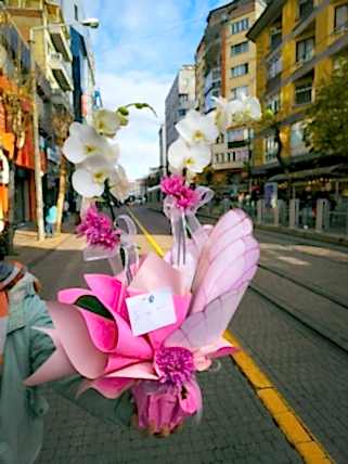 Beyaz çift dal orkide