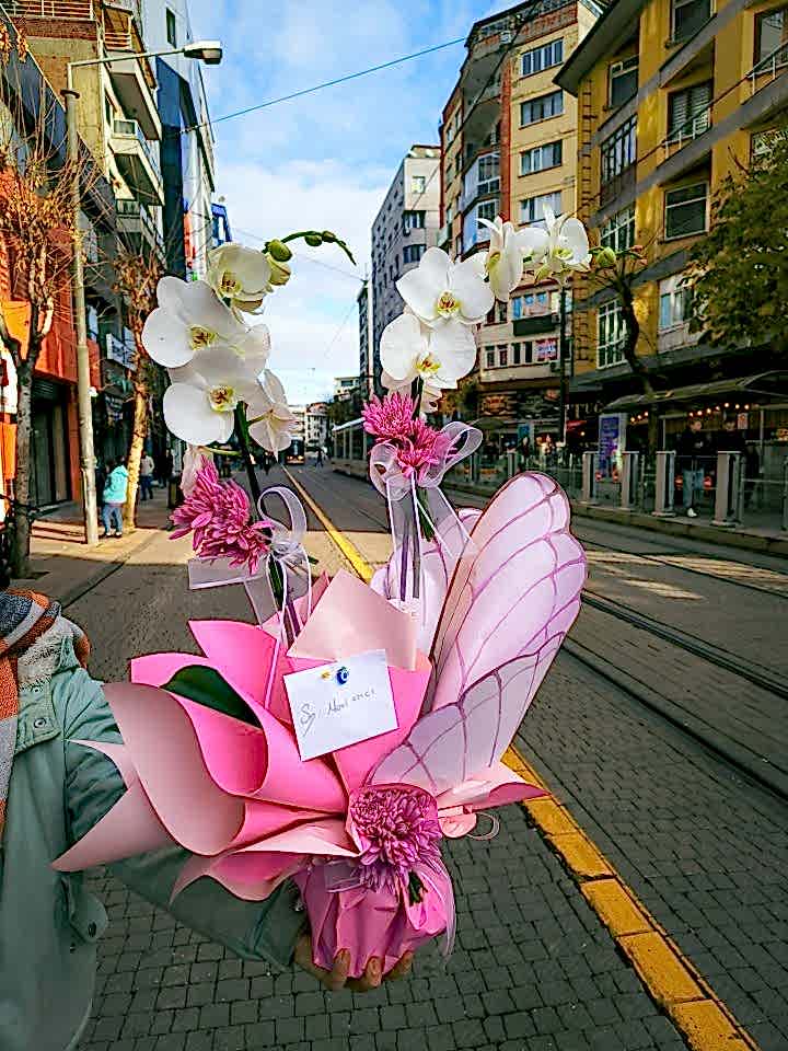 Beyaz çift dal orkide